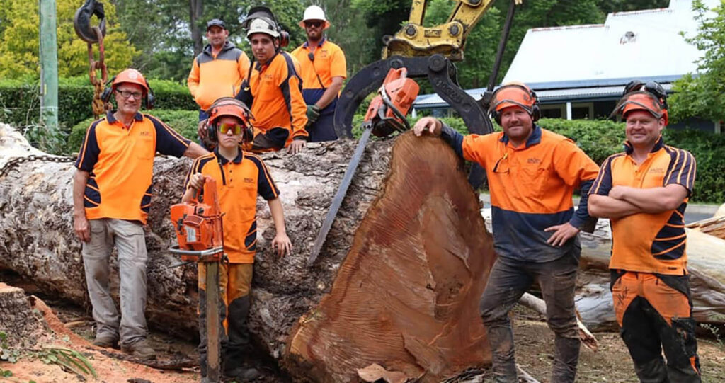 Hills District Tree Removal