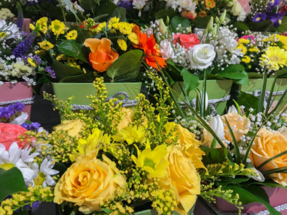 Milsons Point florist